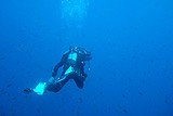 DSC02264.jpg